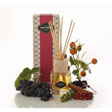 Home Fragrance Gift Box - Dioniosio Fragrance - Belforte Fragrances -  - 0656272893590