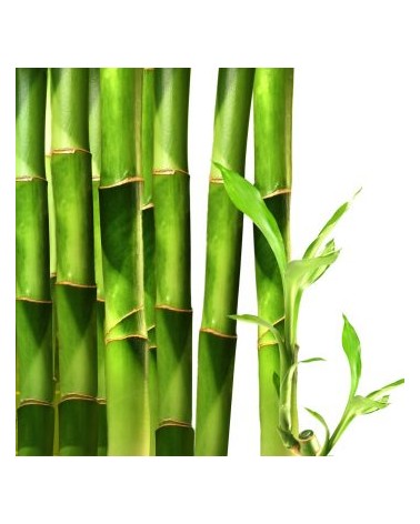 Bamboo Lime Raumduftspray - 100 ml - Belforte Italian Fragrances - 