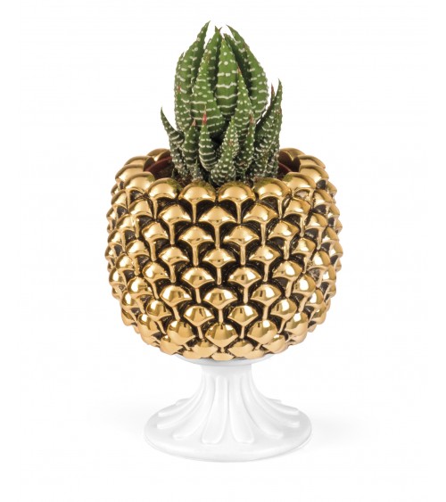 Favors Fantin Argenti - Gold Pine Cone With Plant and White Base -  - 