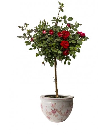 Royal Family - Porte-vase "Armonia di Rose" - 