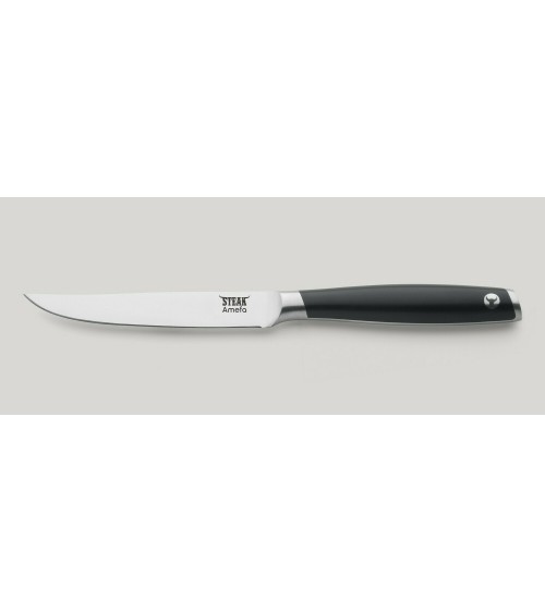 Tenderloin Stainless Steel Steak Knife - Amefa