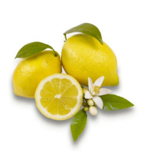 Belforte - Diffuseur en Canette "Art " Citron Musc 440 ml -  Belforte - Diffuseur en Canette "Art " Citron Musc 440 ml -