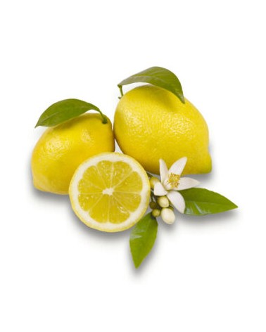 Concentrated Essential Oil - Belforte - Lemon Musk Fragrance 15 ML -  - 