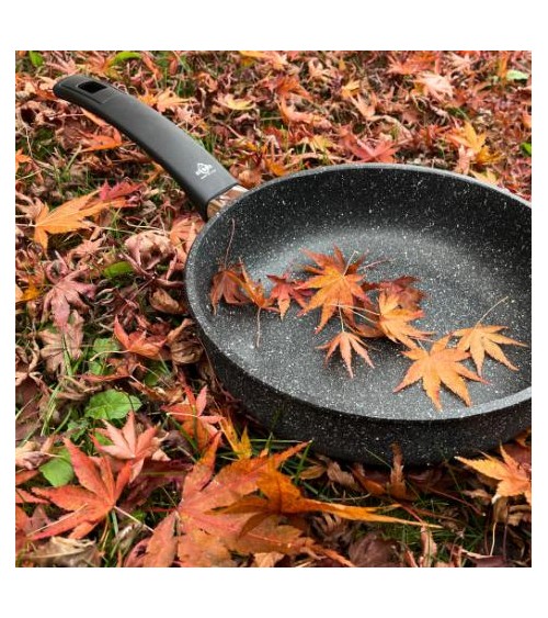 High Non-Stick Die-Cast Aluminum Frying Pan - Professional - Olympia -