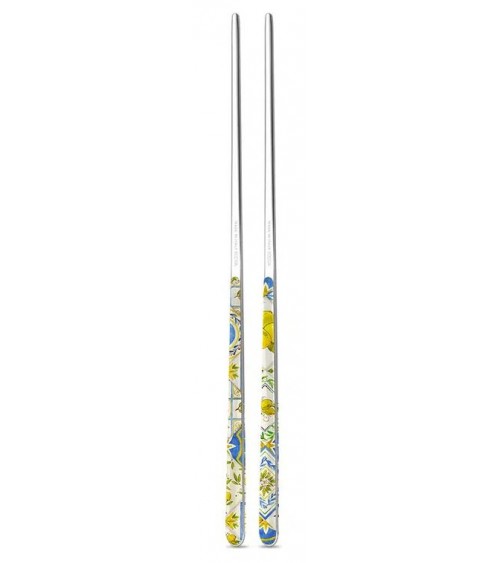 Chinese chops in 18/10 stainless steel NEVA - Set 2 couples - solid color design, colored handle, made in Italy -
