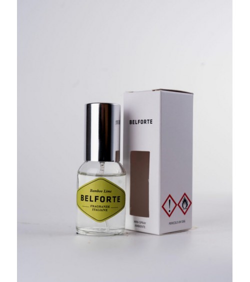 Coffret de 2 Mini Sprays d'Ambiance 20 ml : 1 pc Ambre + 1 pc Bambou Citron Vert, Parfums Portables Maison et Voiture -