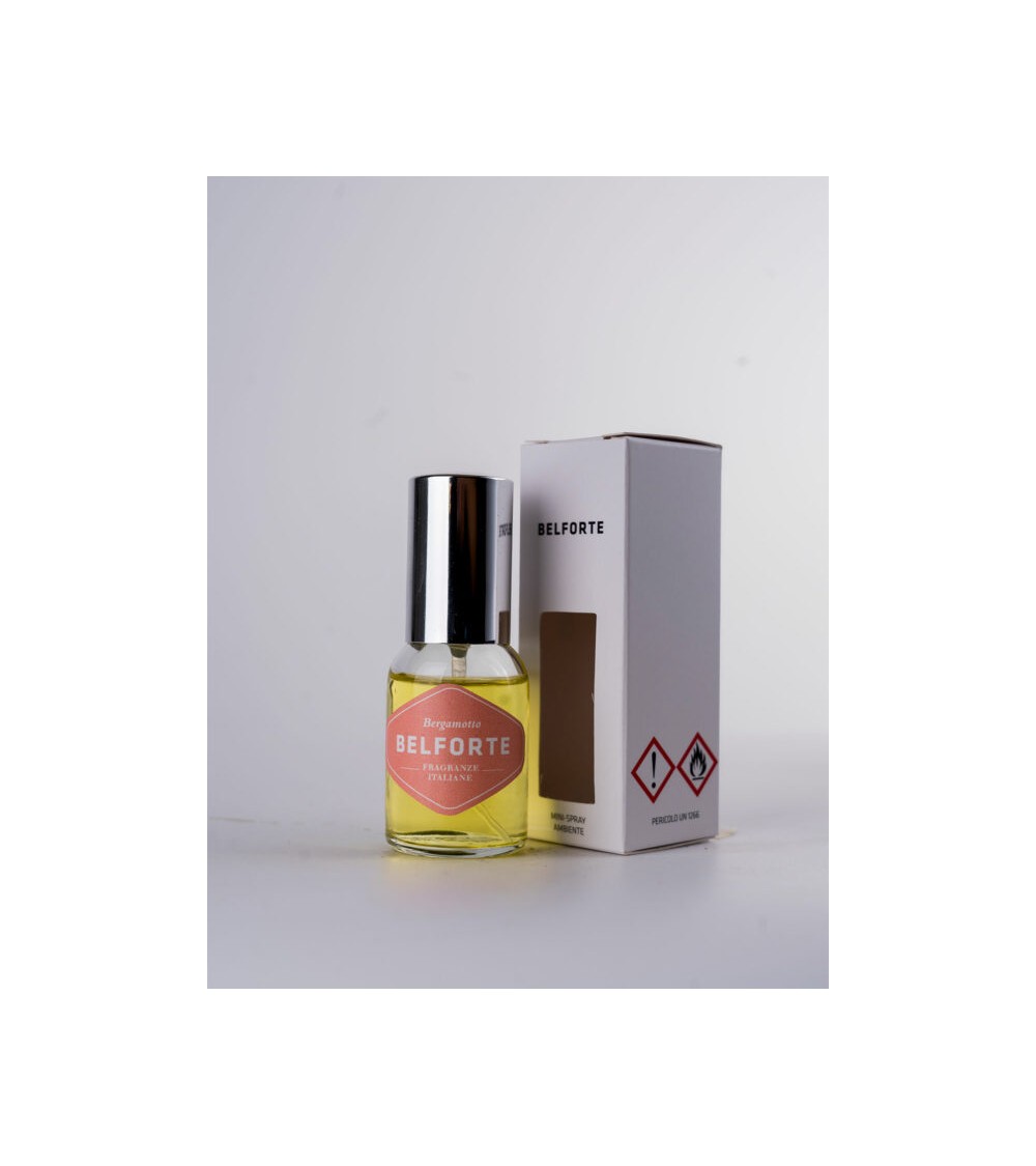 2 件套迷你室内喷雾 20 毫升：1 件佛手柑 + 1 件白色亚麻、便携式家居和汽车香水 -