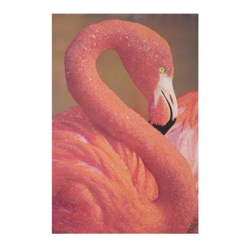 Print On Canvas With Applications -A- Flamingo Cm 80X3,8X120 -  - 8024609336102