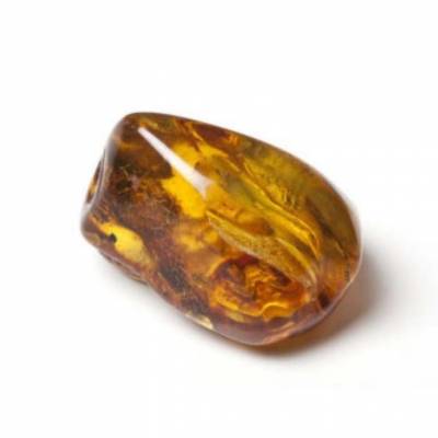 Belforte Concentrated Essential Oil - Amber Fragrance 15ml -  -  Belforte Concentrated Essential Oil - Amber Fragrance 15ml -  -